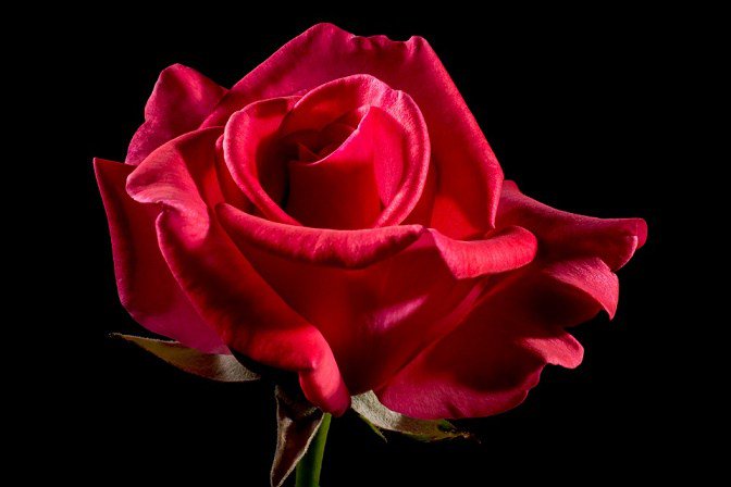FAUEnglish's tweet photo. A cool poem to get you through the rest of the week! #VF3F #FAU #Poem #Beauty #Love https://t.co/xteHEIAq0o https://t.co/ls63P60bRn