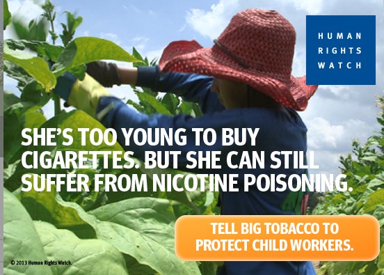 ChildLaborCLC's tweet image. #Obama admin. has 52 days to ban on hazardous #ChildLabor in US #tobacco. Let's end nicotine poisoning for working teens @hrw