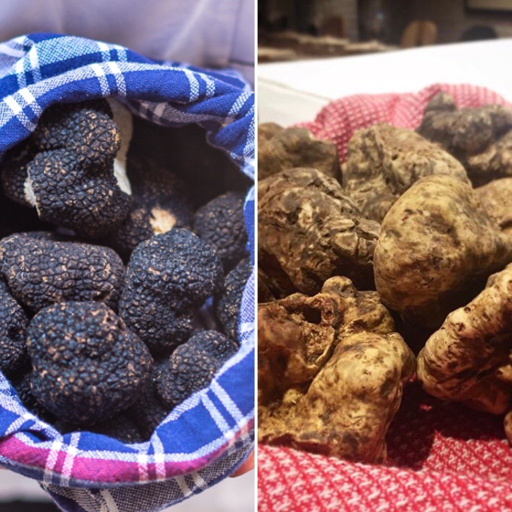 Gunter Seeger NY tweet media