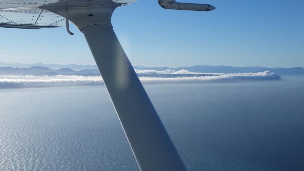 SkySurvNZ's tweet photo. #TBThursday #flying over #cookstraight with amazing coastal fog display https://t.co/73nVDLudHJ