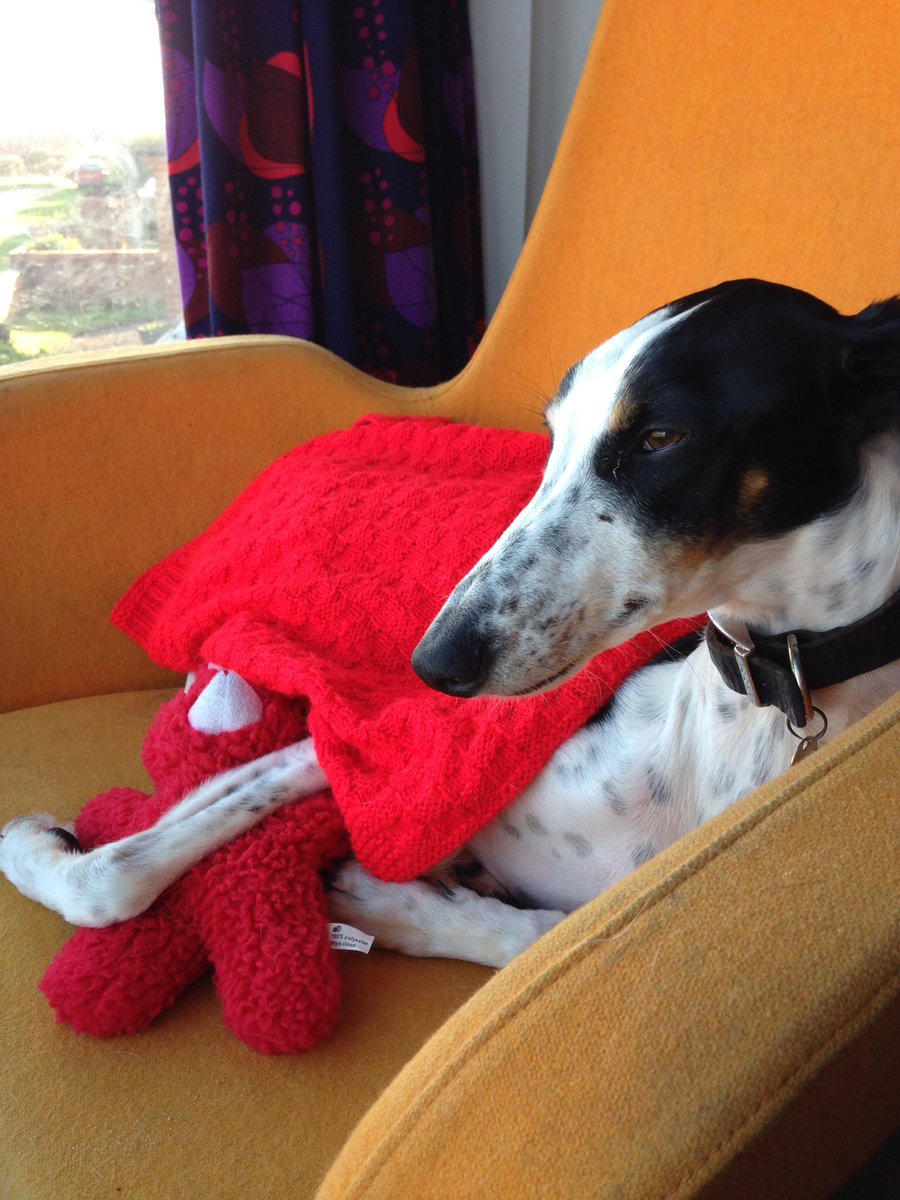 It's jumper time for bully
