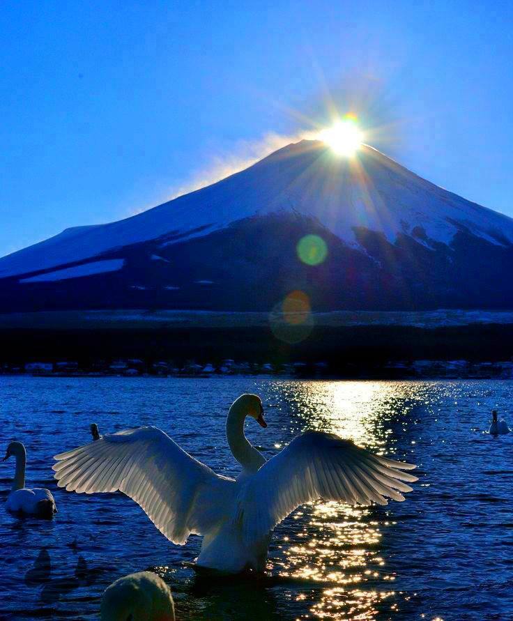 GajHaj's tweet photo. Water is the driving force of all nature.
- Leonardo da Vinci https://t.co/d7mcuzlFkX