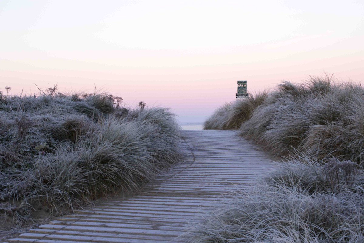 visitKQ's tweet photo. frosty morning at the beach #lovewinter https://t.co/rYlO6voccx
