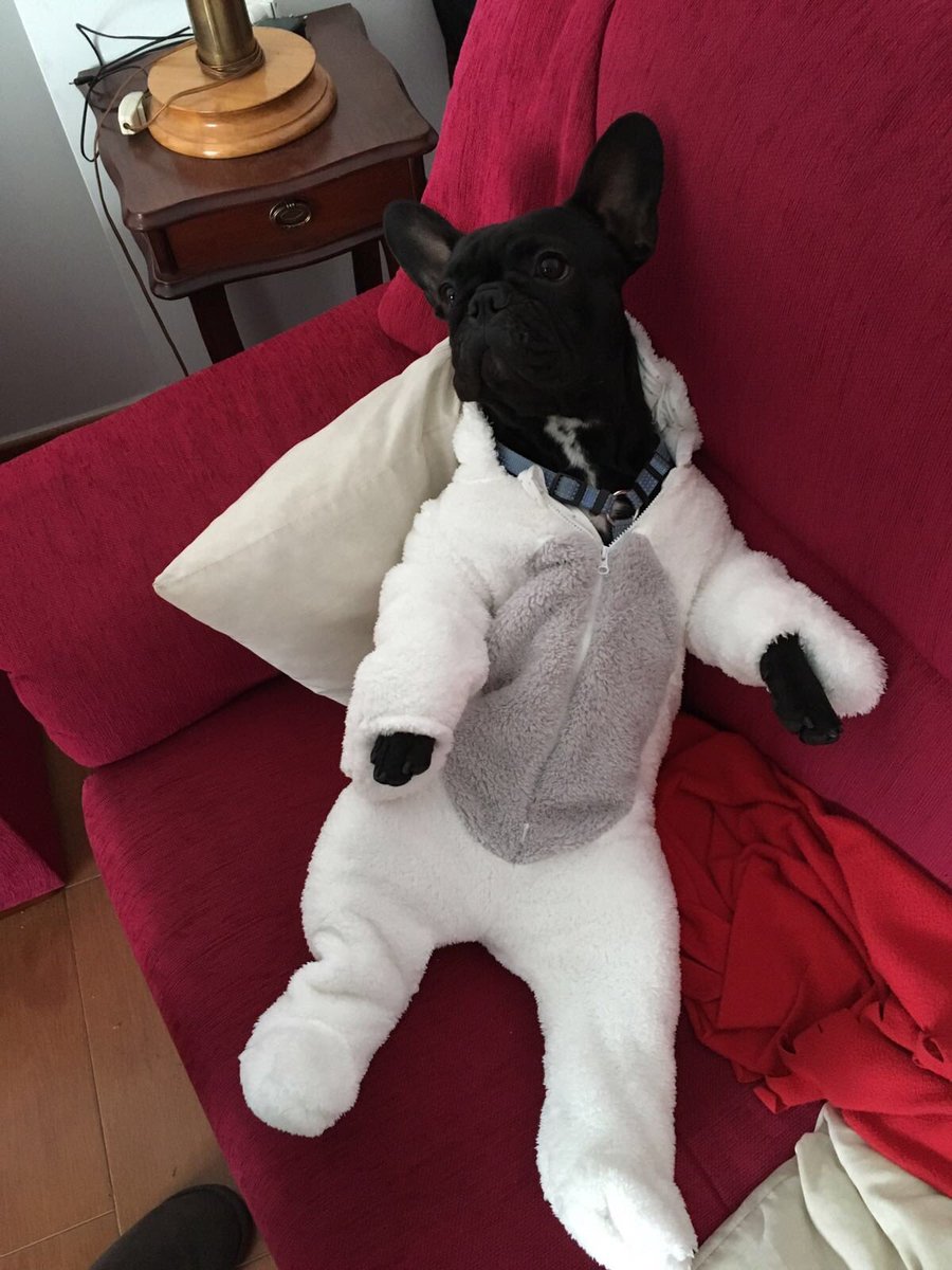 CaroSayDe's tweet photo. Me gustaría ver las trastadas de betty mientras yo no estoy en casa y como recoge todos sus pelos 😂 @elcorteingles @LG_ES #HombotAndRestECI https://t.co/DgFte9lLKz
