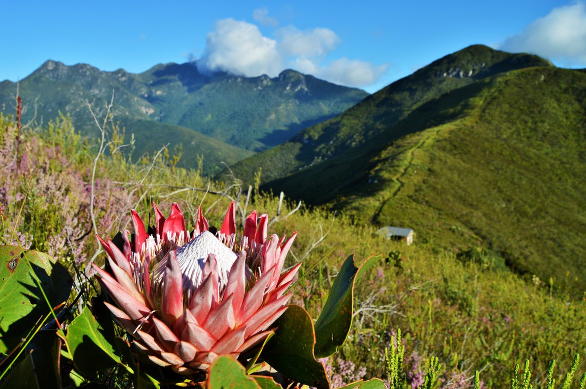 No place for a #GreenXmas quite like #georgetrails. It's going to be a special summer holiday in our #trailrepublic Photo:Rest A While Tours