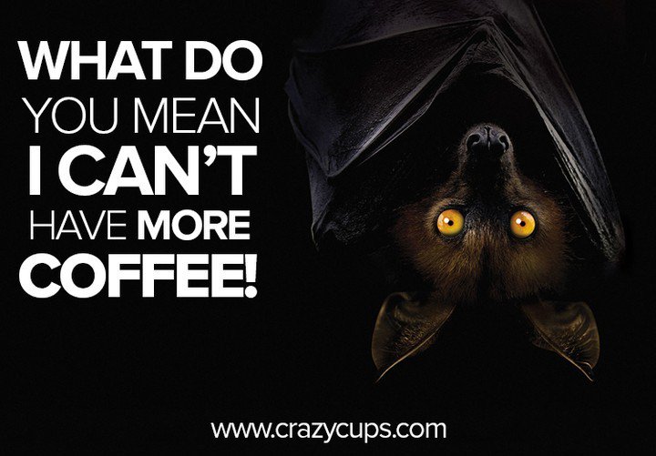 CrazyCupsCoffee's tweet photo. What do you mean I can't have more #coffee? You are officially banned from #WisdomWednesda… https://t.co/K5bPltiNjr https://t.co/zCOF2Mh11t