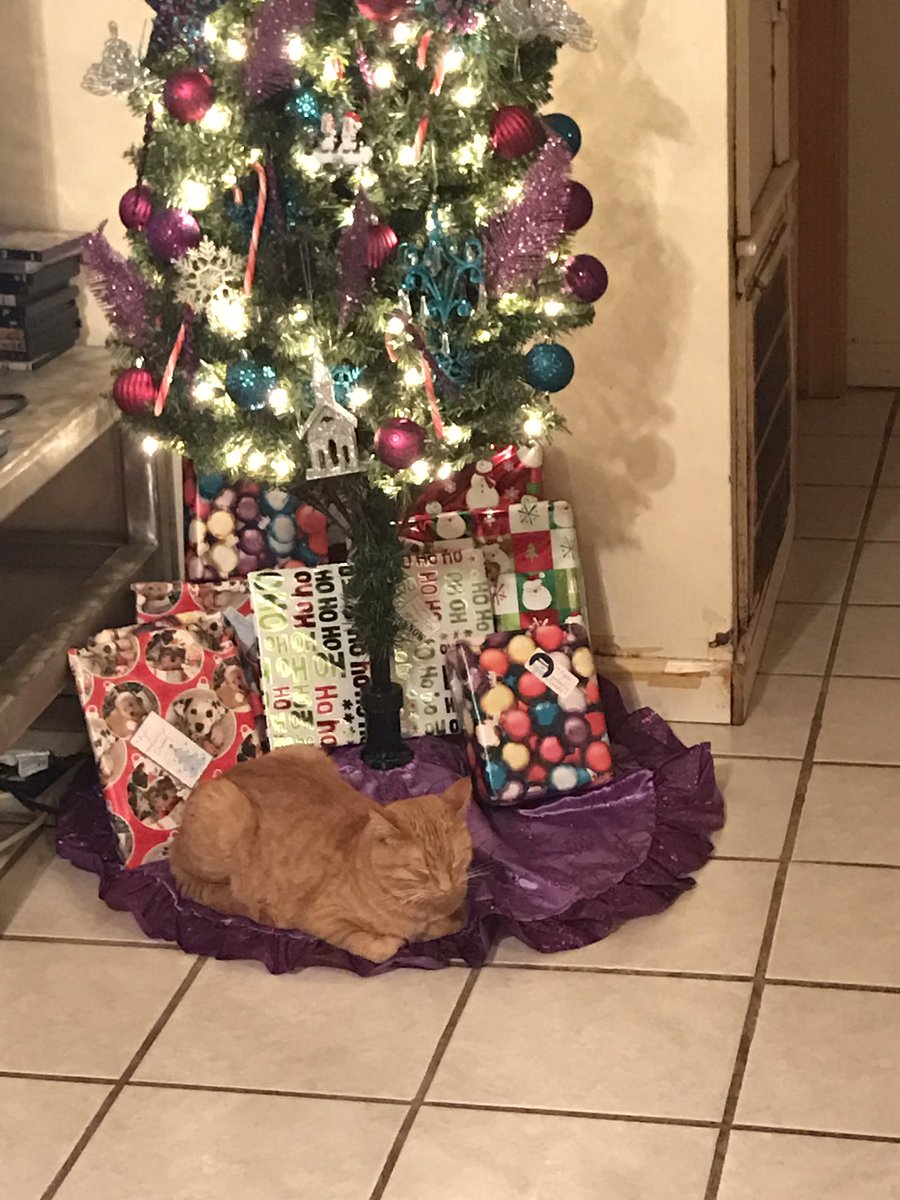 Kelly Canady (@KellyCanady1818) | Twitter