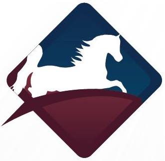 jitexequine's tweet photo. Welcome to the JitEx Equine Transport Twitter Page! #JitExEquine #international #equinetransport https://t.co/H2D6ByB5G9