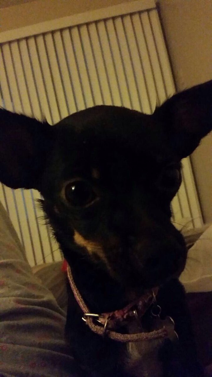 adrianglez371's tweet photo. La negrita https://t.co/vC1ocNTEFs