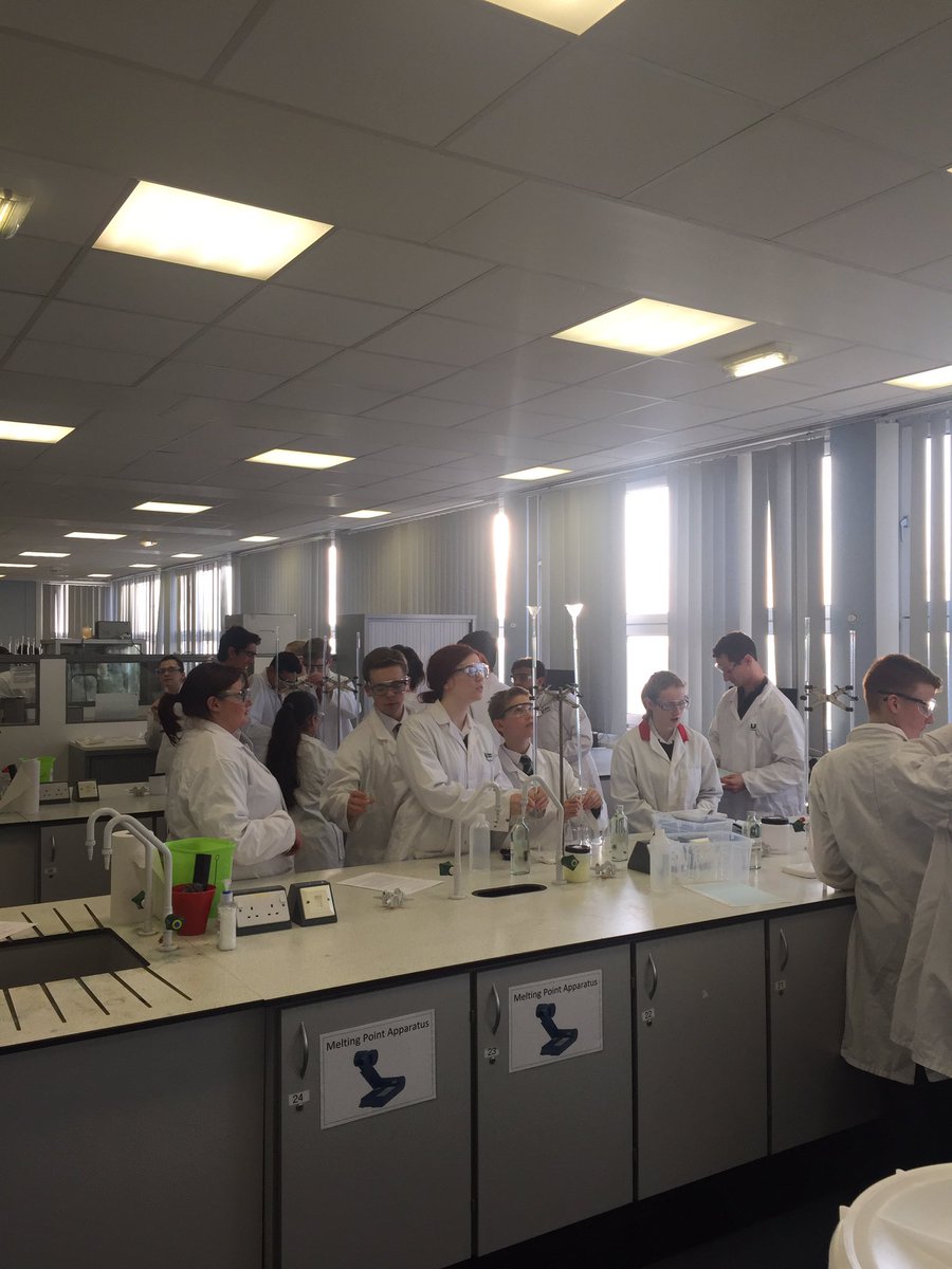 Lucy Lynch tweet media