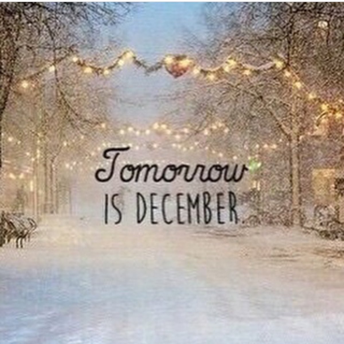 Who else is excited ? Could December be the month you buy your gown ? Book your magical Christmas appointment in our sparkly boutique now 🎄