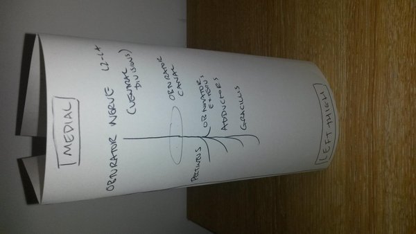 prof_keenan_'s tweet photo. #TSMkey #lowerlimbweek My 3D paper model of the thigh https://t.co/JRVq7HBfnK