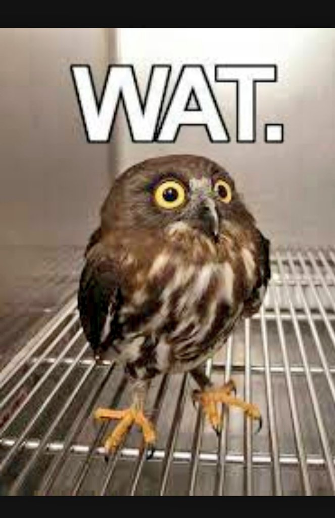 drakehonors's tweet photo. Take a moment and breath
#Don'tWorry
#OwlMeme https://t.co/ZwBAd6txtK