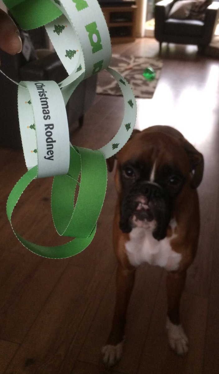 auberginearcher's tweet photo. @PetsatHome I'm not sure @RodneyTheBoxer understood the idea behind the #vippaperchain! #destroyed #dispatched Glad I got a few snaps first! https://t.co/OhwLi4iaPE