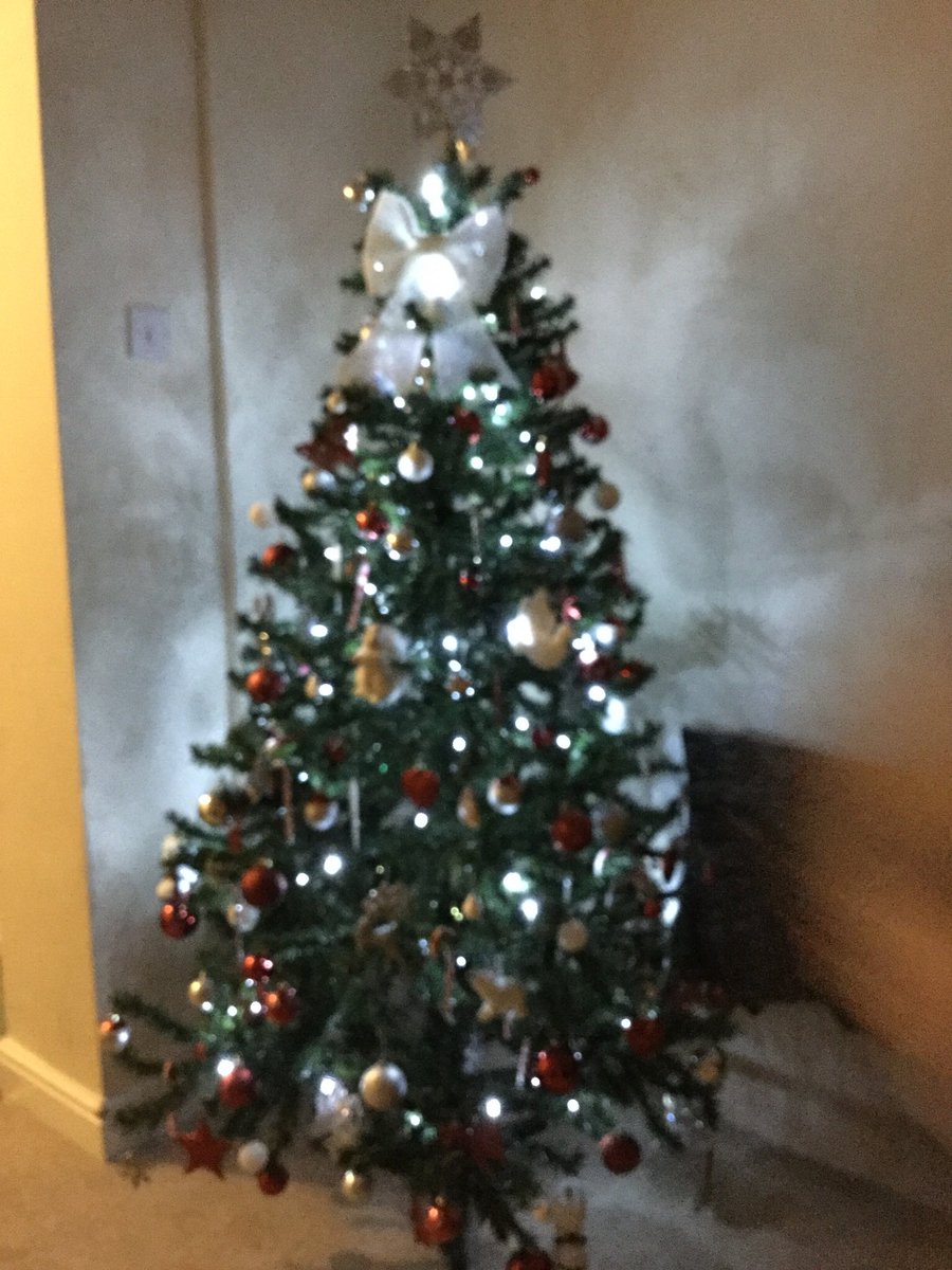 shelacya's tweet photo. Christmas tree https://t.co/PlV7z3KbhH