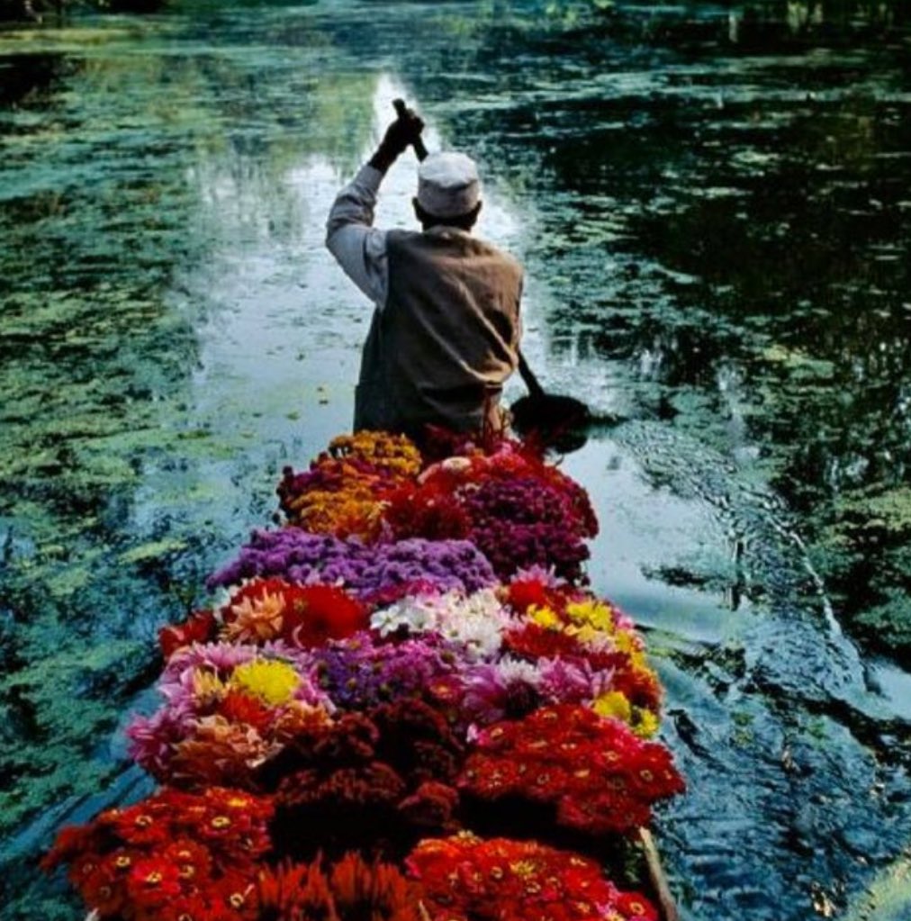 royal_hamam's tweet photo. #royalhamam always traversing downstream via transport of beauty. #travel #passportready #WeAllCan #beautybloggers #Fashion #style #boho https://t.co/PEB0Vj1g64