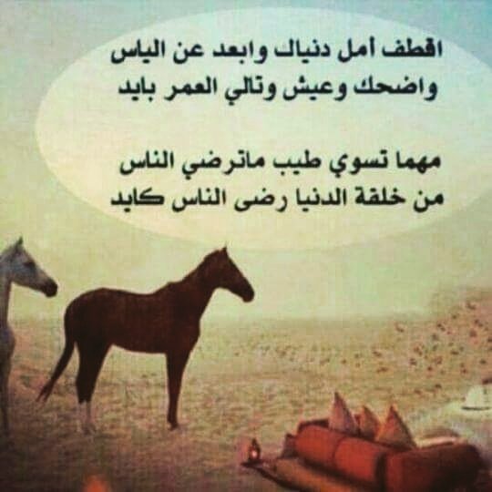 sameerh908 tweet picture