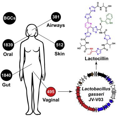 microBIOblog's tweet photo. La solución también está en tu interior: obtienen nuevos #antibióticos de las bacterias de nuestro cuerpo
https://t.co/iuvKKGUEoZ https://t.co/hWTUirG7Rj