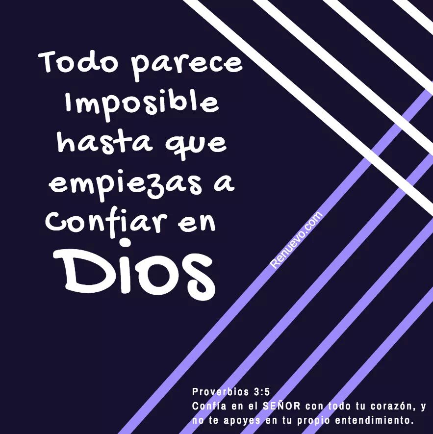 MariaGo06307978's tweet photo. Nada como descansar en su preciosa
#PRECENCIA https://t.co/sNUWPpbiHy