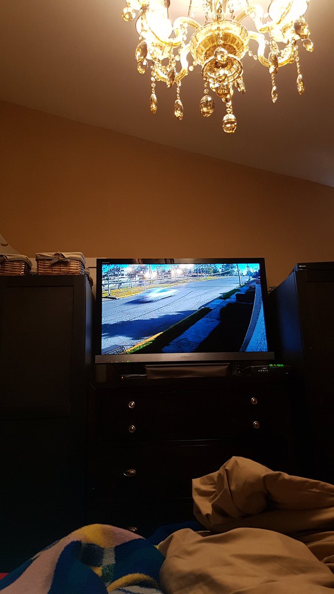 Mision del dia...vigilar la casa 😎😎