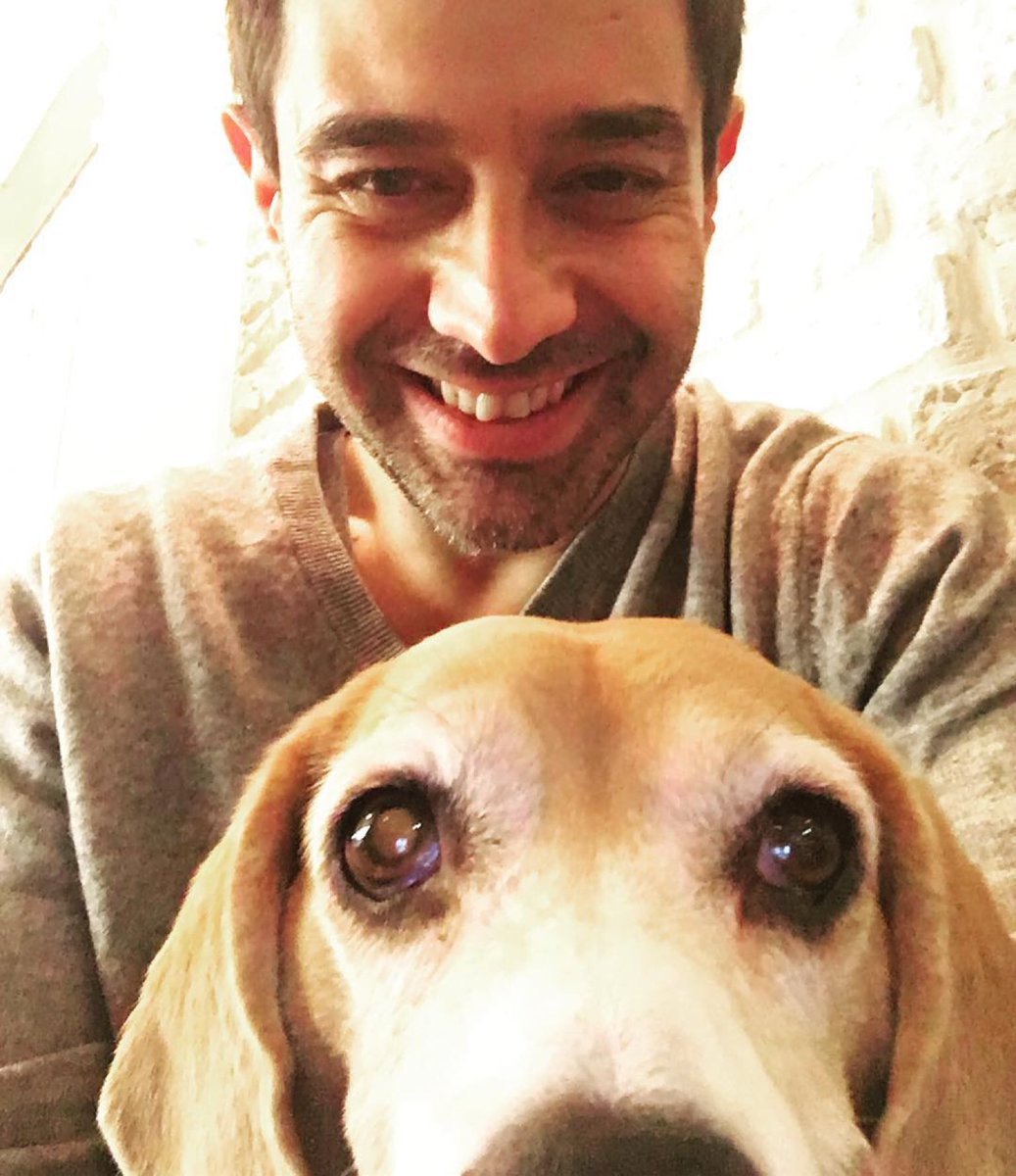 '@cansellelcin Let's take a selfie!! #beagle #selfie #dogs animaladdicts seamusobrien instagram.com/p/BNcKeZgDT0F/ '