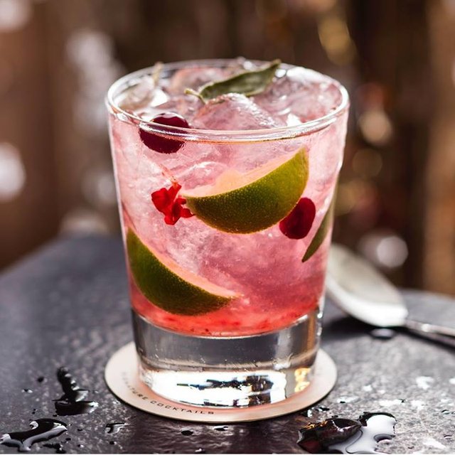 davidicken's tweet photo. Say cheers to the holiday season with a Cranberry Sage Cocktail. https://t.co/bhOjNzUSxK #team52 https://t.co/kkBxBCIVfW