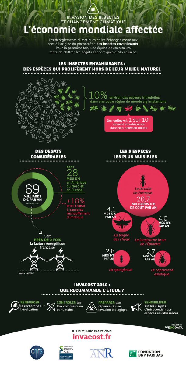 #ClimateInitiative : après-midi studieuse à Lisbonne avec <a href="/franckcourchamp/">Franck Courchamp</a> qui présente  <a href="/Invacost/">InvaCost</a> au <a href="/MUHNAC/">MUHNAC</a> grace à @FrancePortugal1