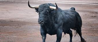 Jandilla (@jandilla1951) on Twitter photo 