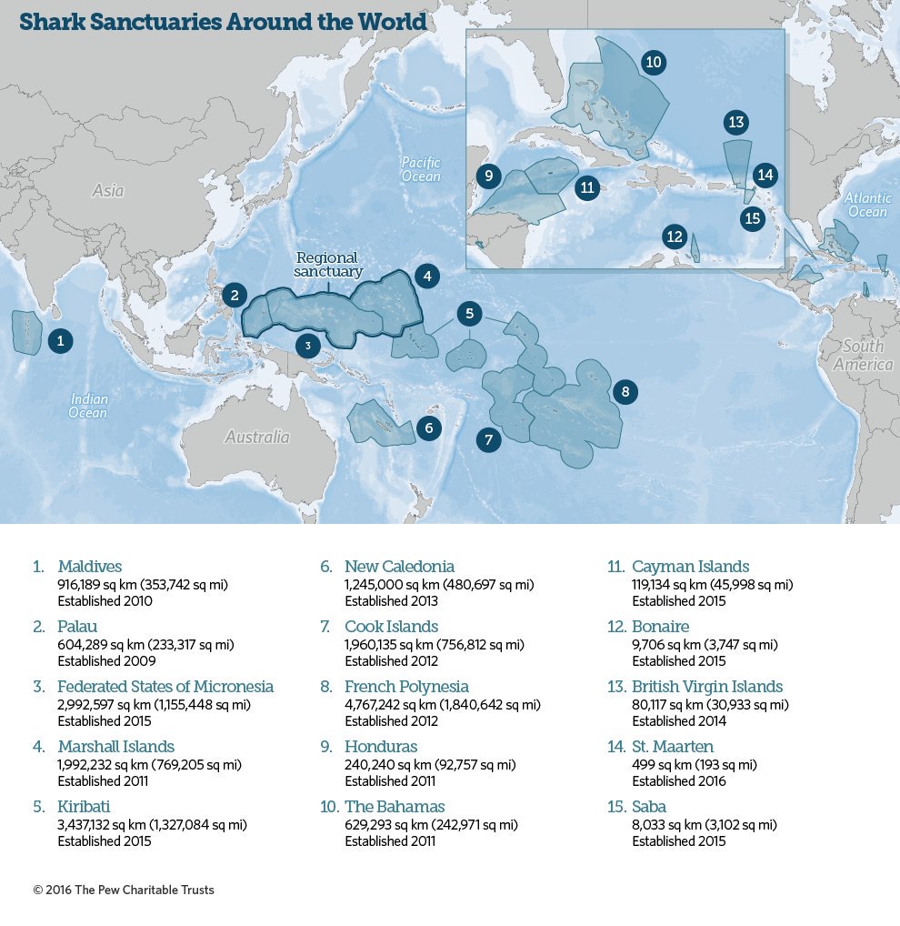 SylviaEarle's tweet photo. Great new for sharks!! Our friends in Kiribati just created the second largest shark sanctuary in the world! https://t.co/vmh4eDaUbG https://t.co/36BpisDlvM