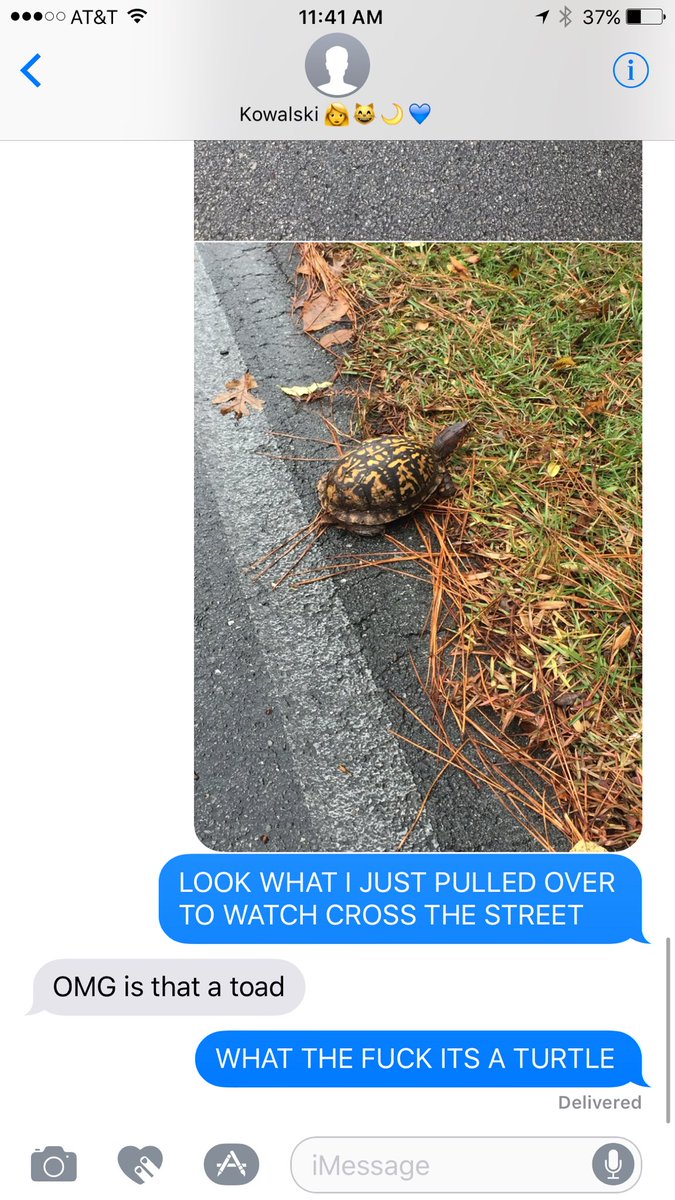 heavys0ul's tweet photo. oh my GOD my sister is an idiot #BlessHerHeart 🐢🐸 https://t.co/1F1zSlsQRx