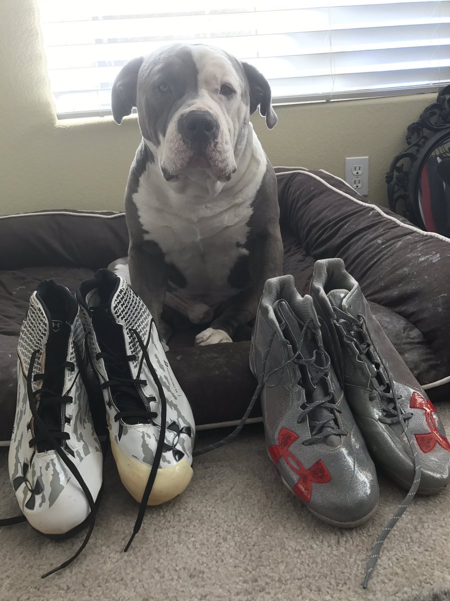 CountOnAG tweet media