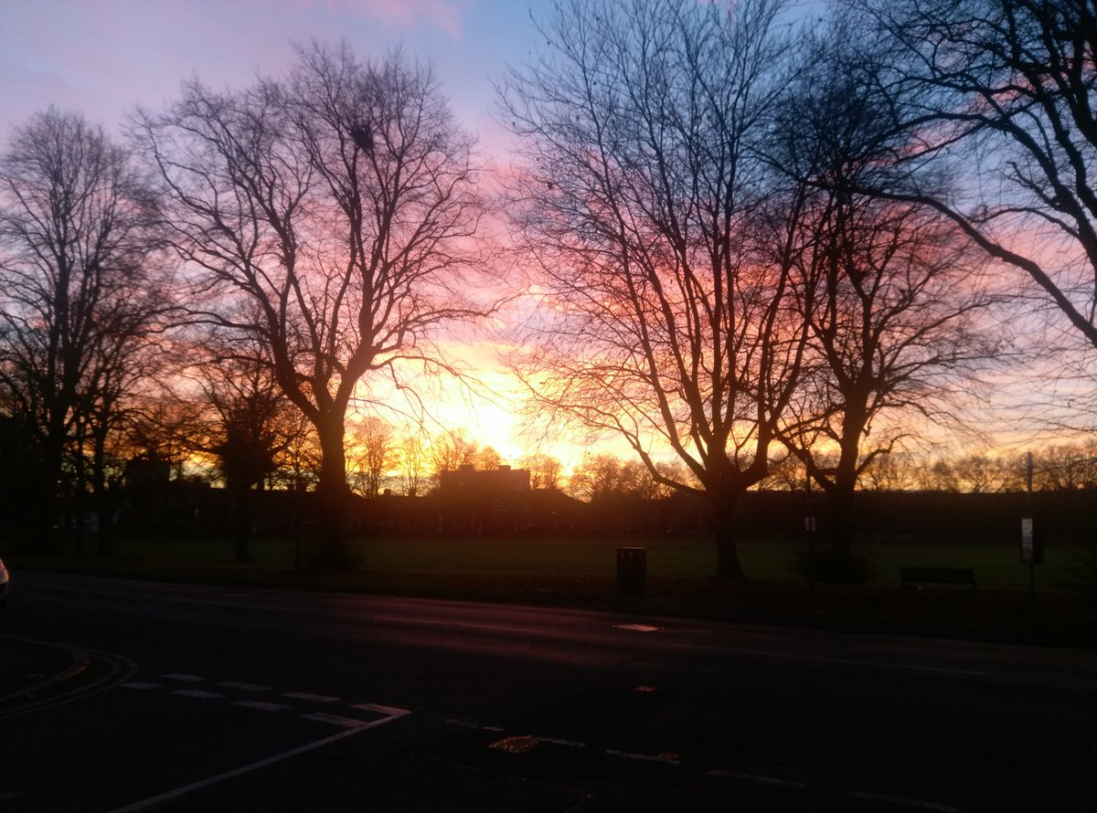 SuperBarryRoche's tweet image. #ChesterGreen looking to be in fine form this evening.