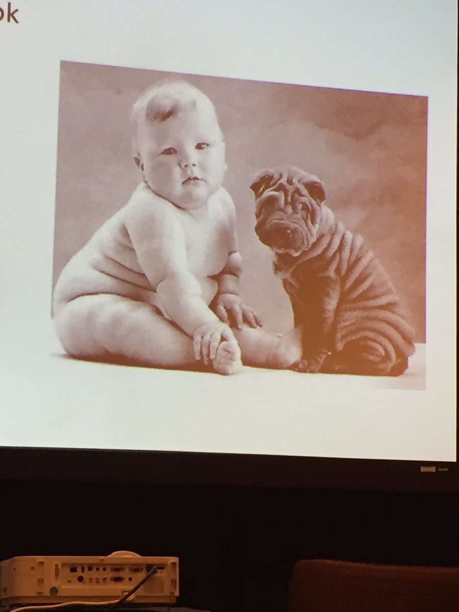 At the #pdcwintermeeting, I am finding likeness with my colleagues.