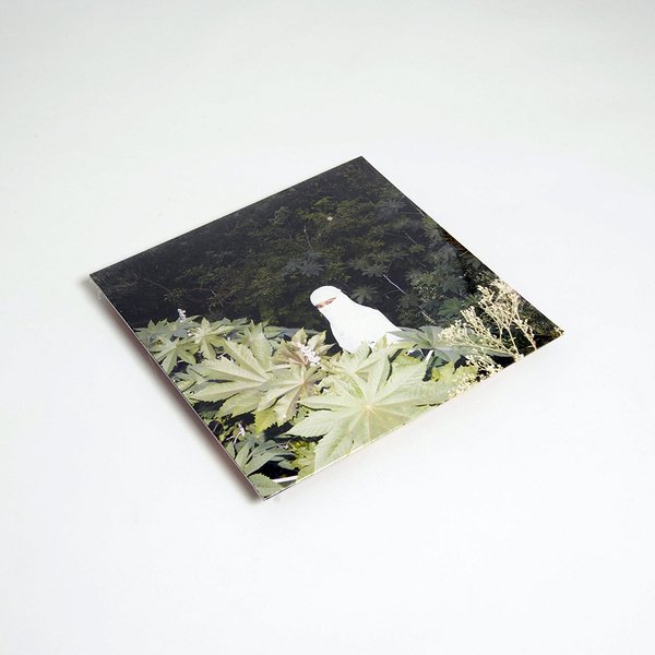 errorbroadcast's tweet photo. The new @SELAoner on @boomkatonline ~ “Wonderfully elusive tangibility” https://t.co/TeLuBlcZOB https://t.co/zBRuNWrNwu