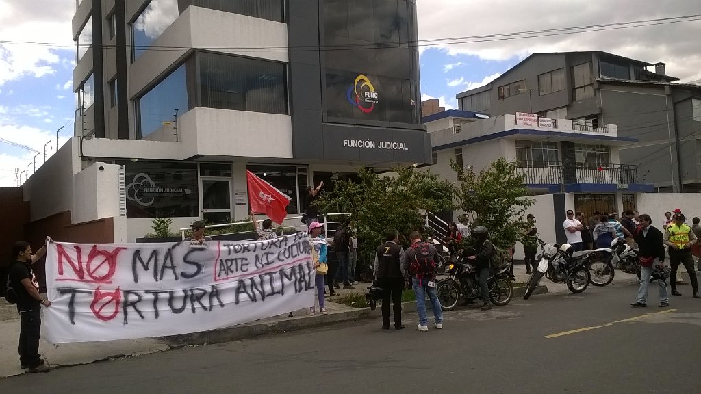 JPPECUADOR's tweet photo. @MauricioRodasEC @MunicipioQuito No somos torturadores #JusticiaporlaVida  @alfaristas https://t.co/4hJdcw0IQ6