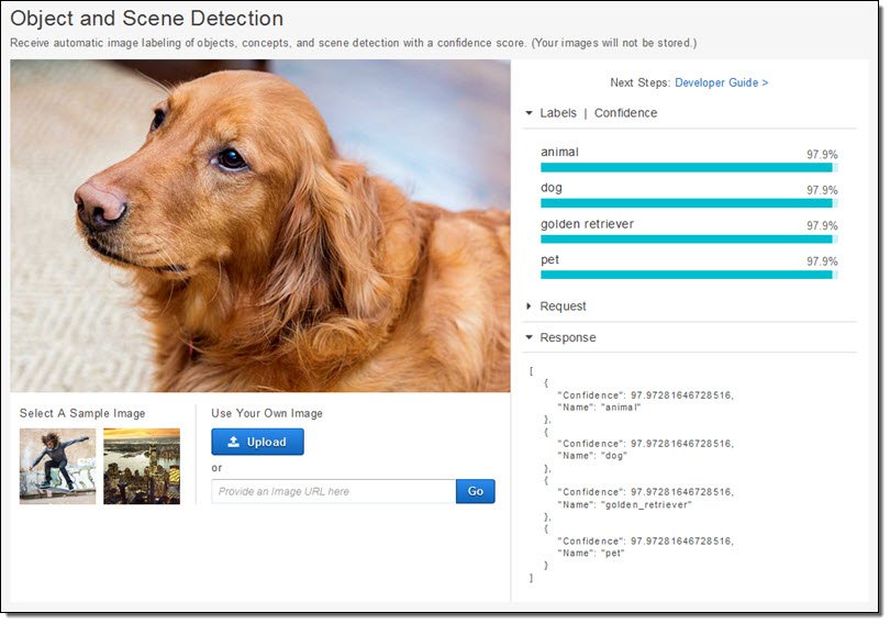 jeffbarr's tweet photo. Amazon Rekognition - Image Detection and Recognition Powered by Deep Learning -  https://t.co/gRXh2Sfz47 #AWS https://t.co/NUQgcsw4WH