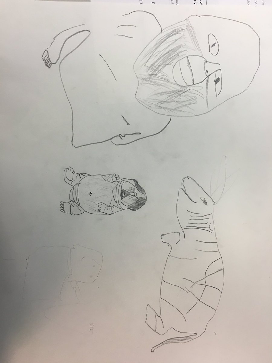 Lexi Strauss tweet media