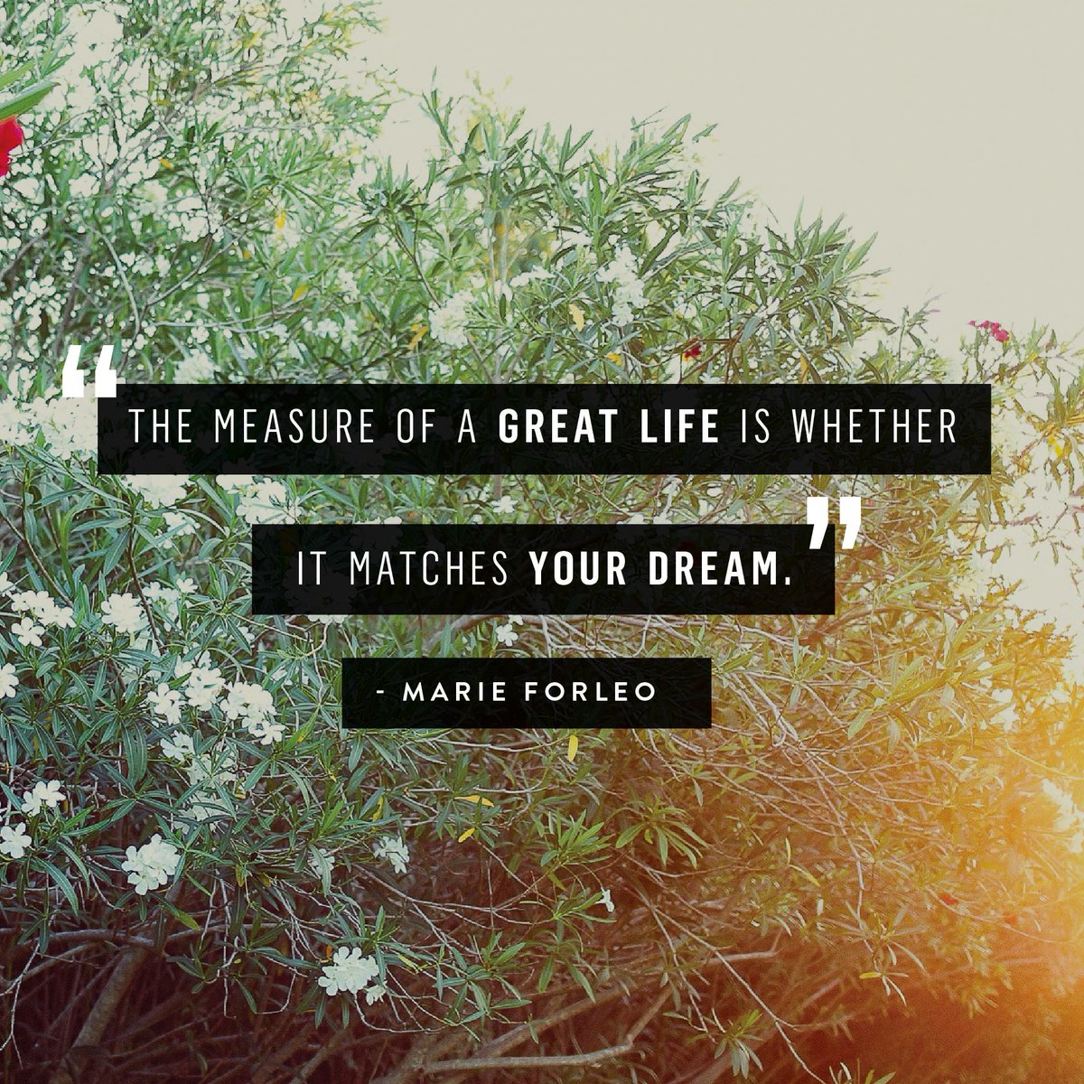 1MillionCupsMSO's tweet photo. Is your #life matching your #dreams? #1MCMSO #1MC #Entrepreneur https://t.co/63w6pkyprM