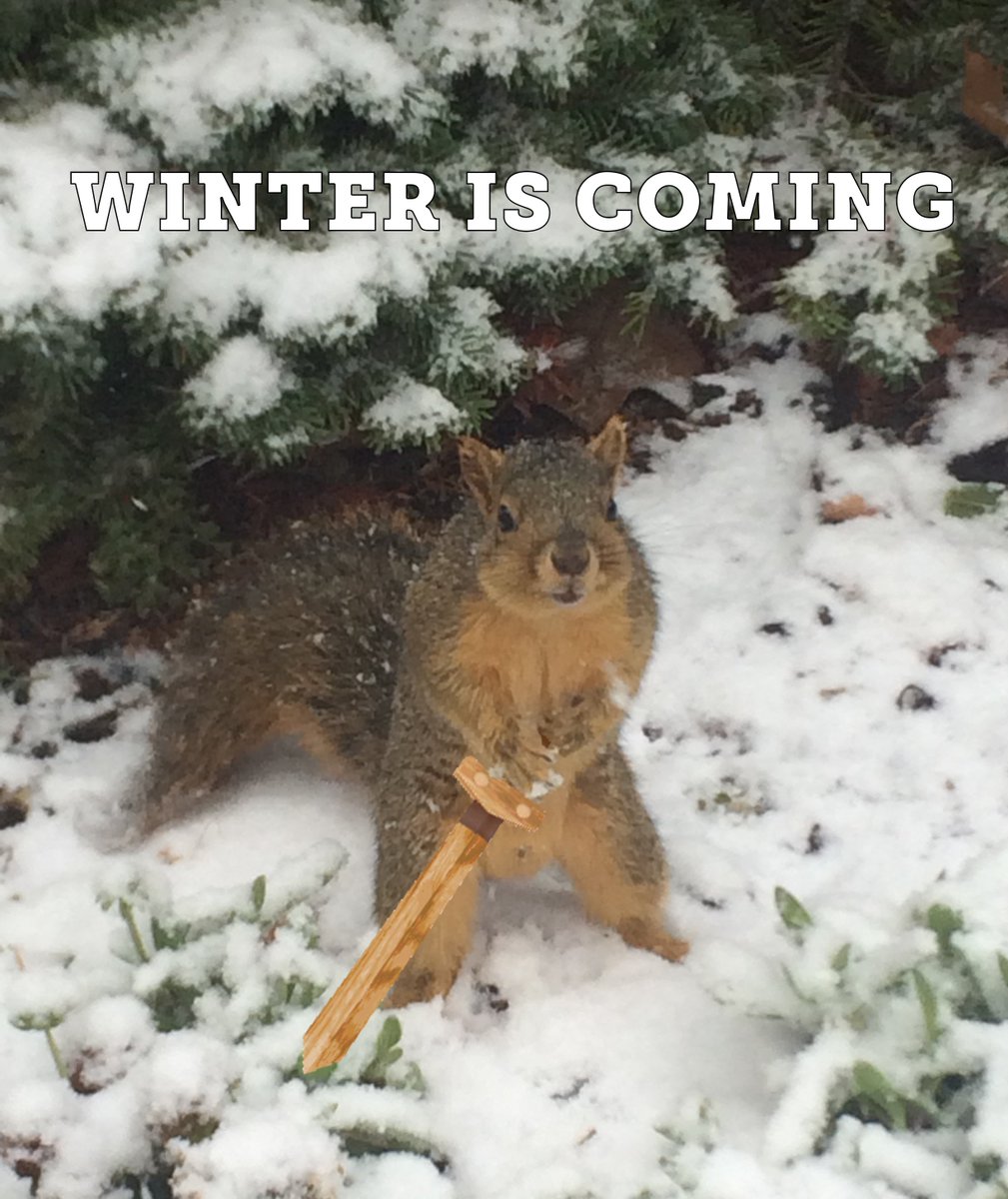 UIdahoAlumni tweet picture