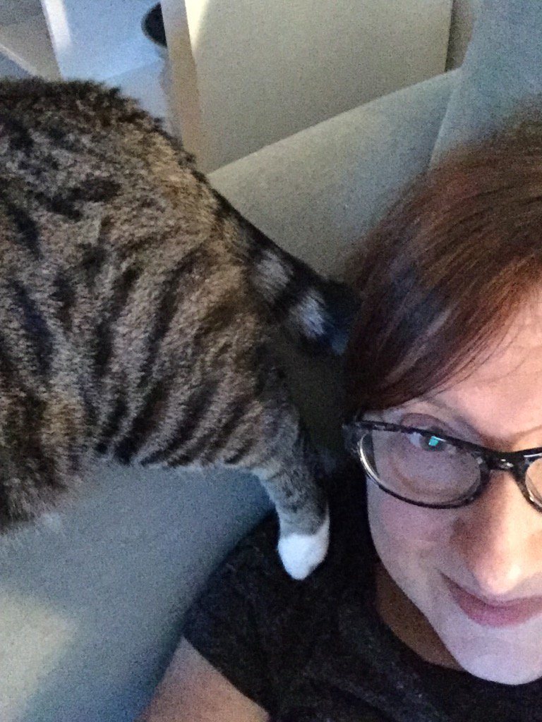 wellred's tweet photo. Pretty sure she missed me while I was away https://t.co/Oj8gWlNXlG
