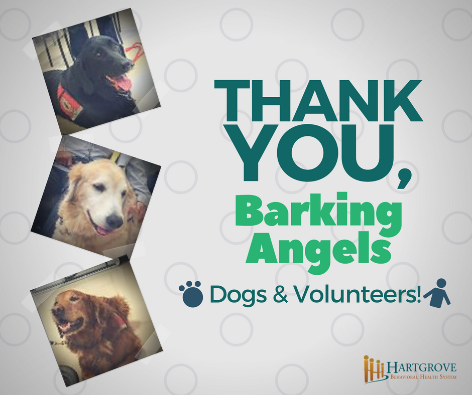 HartgroveBHS's tweet photo. It's undeniable the joy that spreads throughout our facility when furry friends arrive! #pettherapy #mentalhealth https://t.co/ea3RcEY810 https://t.co/39G71htORu