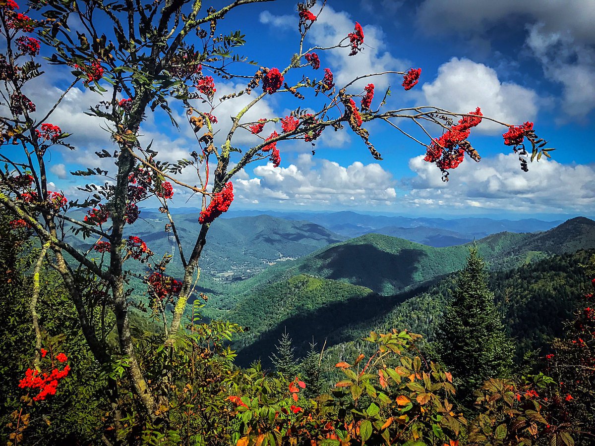 newstudyUSA's tweet photo. #NEWSTUDY #desafio aceito. #aventura em #Asheville #Carolinadonorte #EUA #USA #intercambio #estudeingles #liberdade https://t.co/AZUSRh5rHc