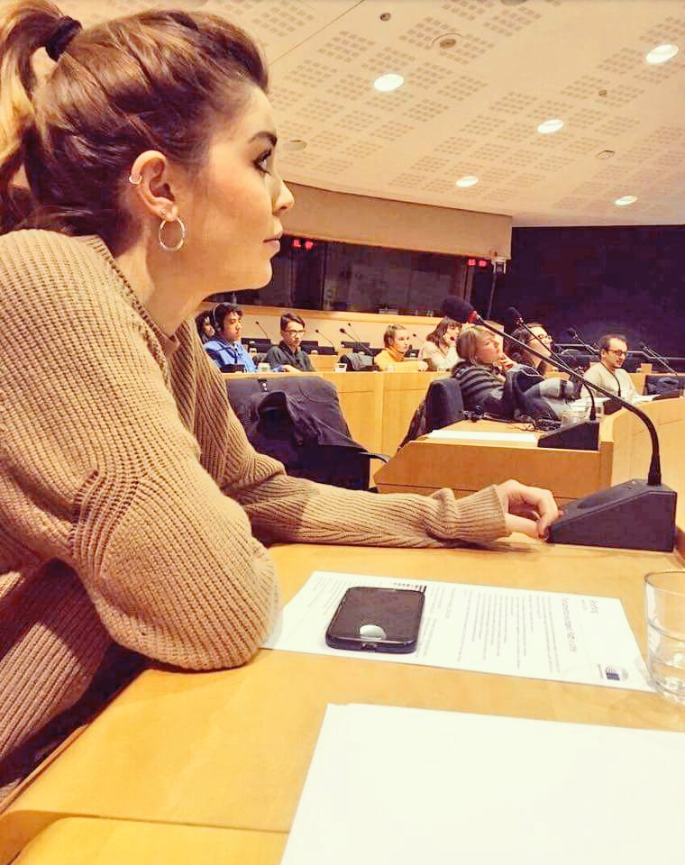 bizzi16's tweet photo. #EuropeanParliament #conference #Brexit https://t.co/rNMi3MMUto