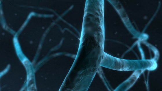 _odsc's tweet photo. Bayesian Deep Learning Part II: Bridging PyMC3 and Lasagne to build a Hierarchical Neural Network https://t.co/rC4Lkp5SdF https://t.co/5ns86y902g