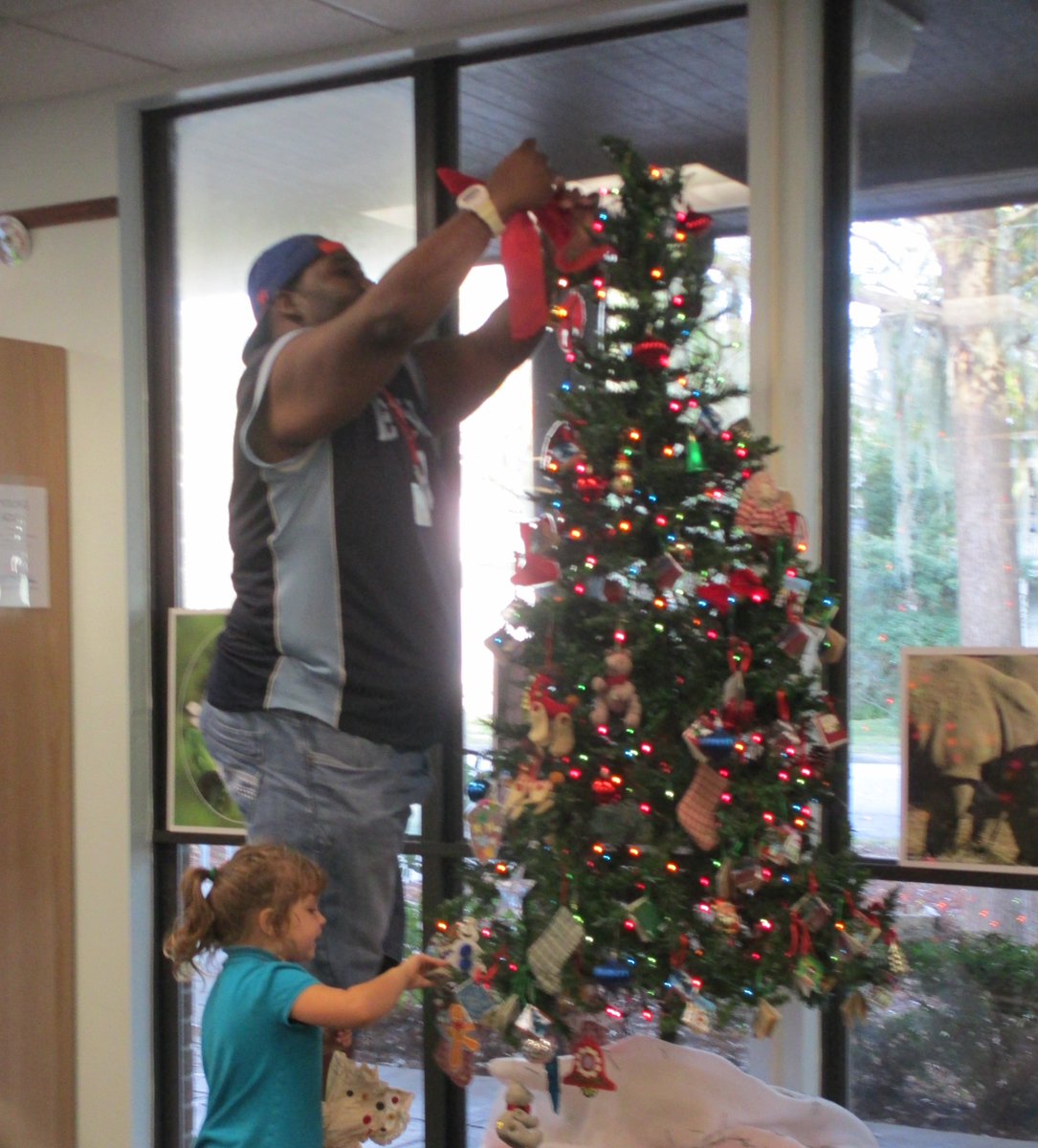alachualibrary's tweet photo. The #HawthorneLibrary's tree is getting decorated today! Pop in to help us put the lights and ornaments up π²3:30-4:45PM for #allages https://t.co/VVVZ82gjyh