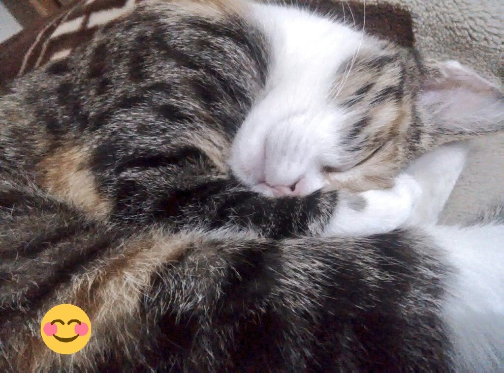 دخترم لوسی آرام خوابیده