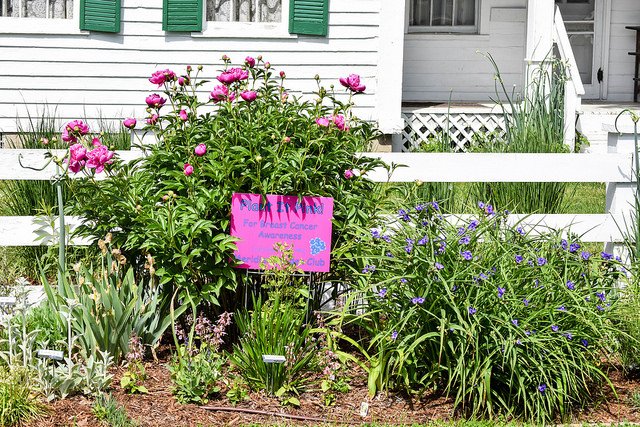 meridiantwp's tweet photo. The Meridian Garden Club is selling memorial bricks to be installed in the walkway of the “Plant It Pink” Garden: https://t.co/ETX3GcOgOv https://t.co/RkioJDlBpc