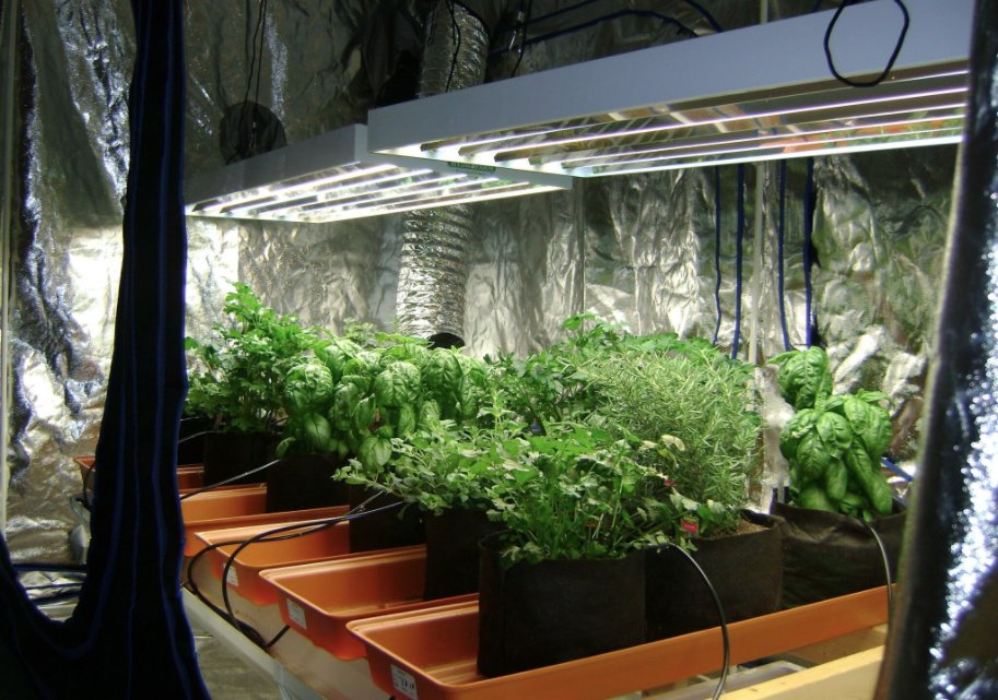 SmartPots's tweet photo. Are your customers growing with #Hydroponics? Show them @SmartPots!
Click to learn how to carry us in your store! https://t.co/ZW9Idu0Ugx https://t.co/5u3LVwhODb