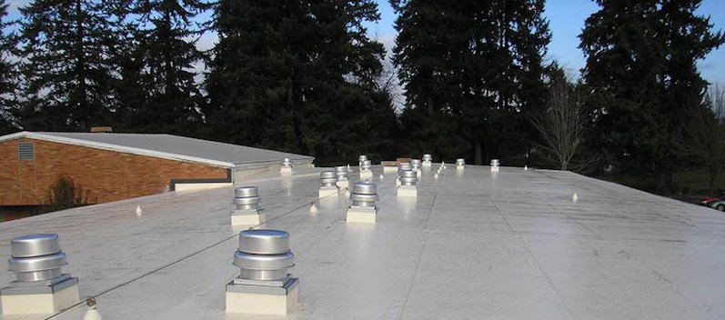 FiberTite's tweet photo. Turkey vultures can be attracted to your #roofingsystem for many reasons Learn more here: https://t.co/yJIrGg0g2y https://t.co/tNHrk235Pi