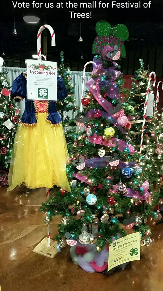 Lycoming4H's tweet photo. Vote for 4-H's tree!  Festival of Trees 2016
now through Dec 9 at Lycoming Mall 
#SeasonOfGiving #SalvationArmy #4HGrowsHere #trueleaders https://t.co/D5O1NeC1tJ